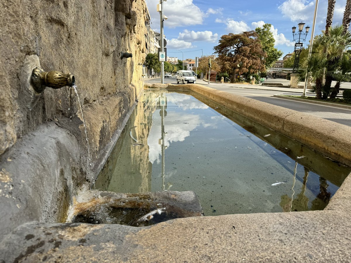 La Fuente Pilar de los Álamos data de 1552 y está dividida en 3 partes: almena, cuerpo y pilón. En el centro del frontis se ve el escudo de la ciudad.

Fue la primera obra civil construida tras el abandono de la fortaleza.

#AlcalálaRealEnamora
<a href="/TurAlcalalaReal/">Turismo Alcalá la Real</a>