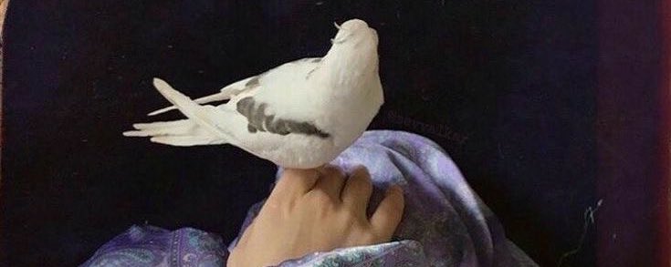 _biraciz's tweet photo. "insan bir umuda, nice rüyâlar dizer..” https://t.co/0GZEmGzf0R