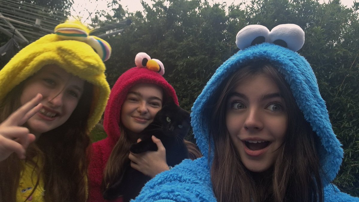 Our trio friendship has progressed. Behold, Cookie Monster, Elmo, and Big Bird. Name me a better use of my money 🫶❤️💙💛