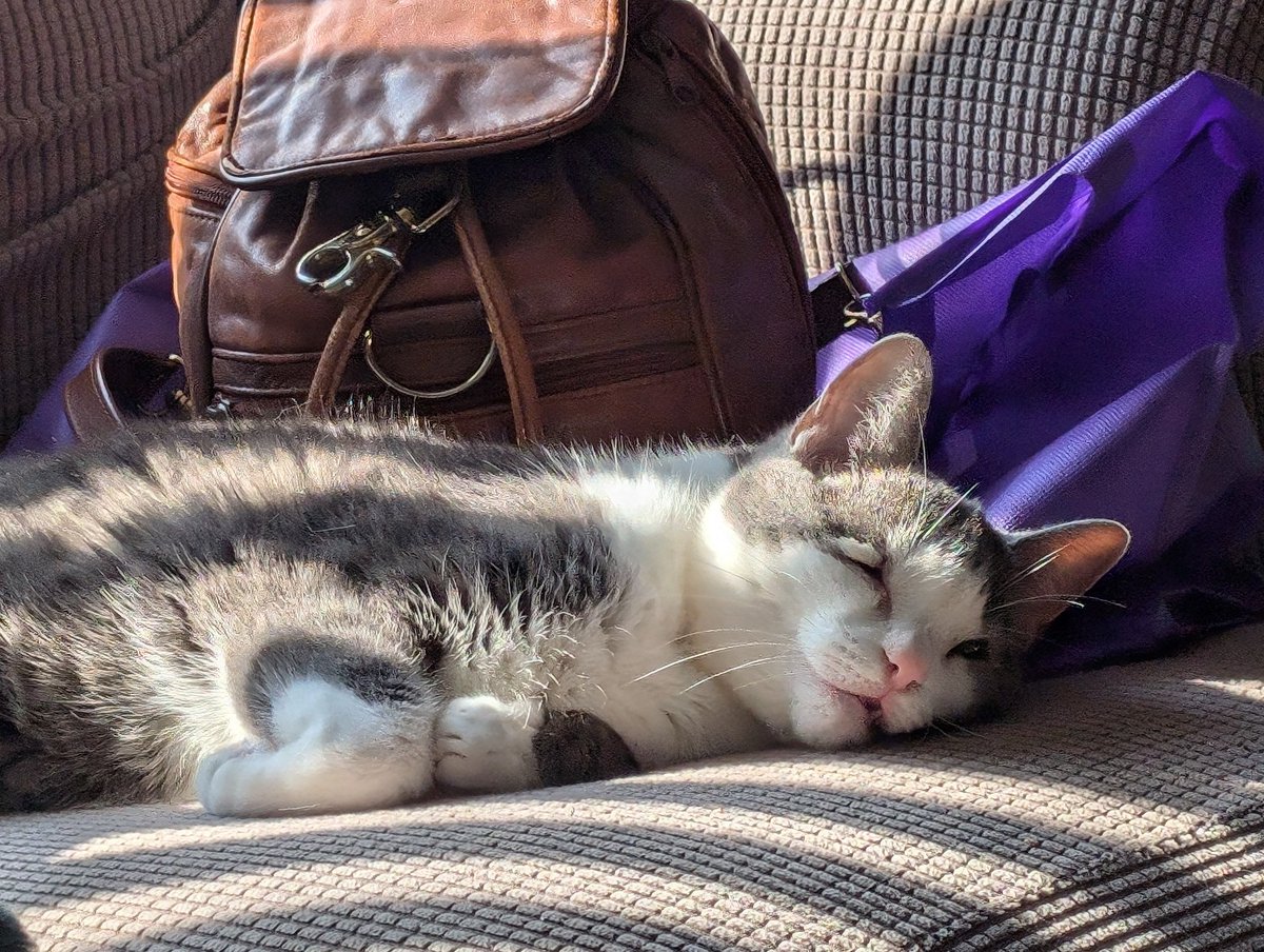 ibopfufen tweet media