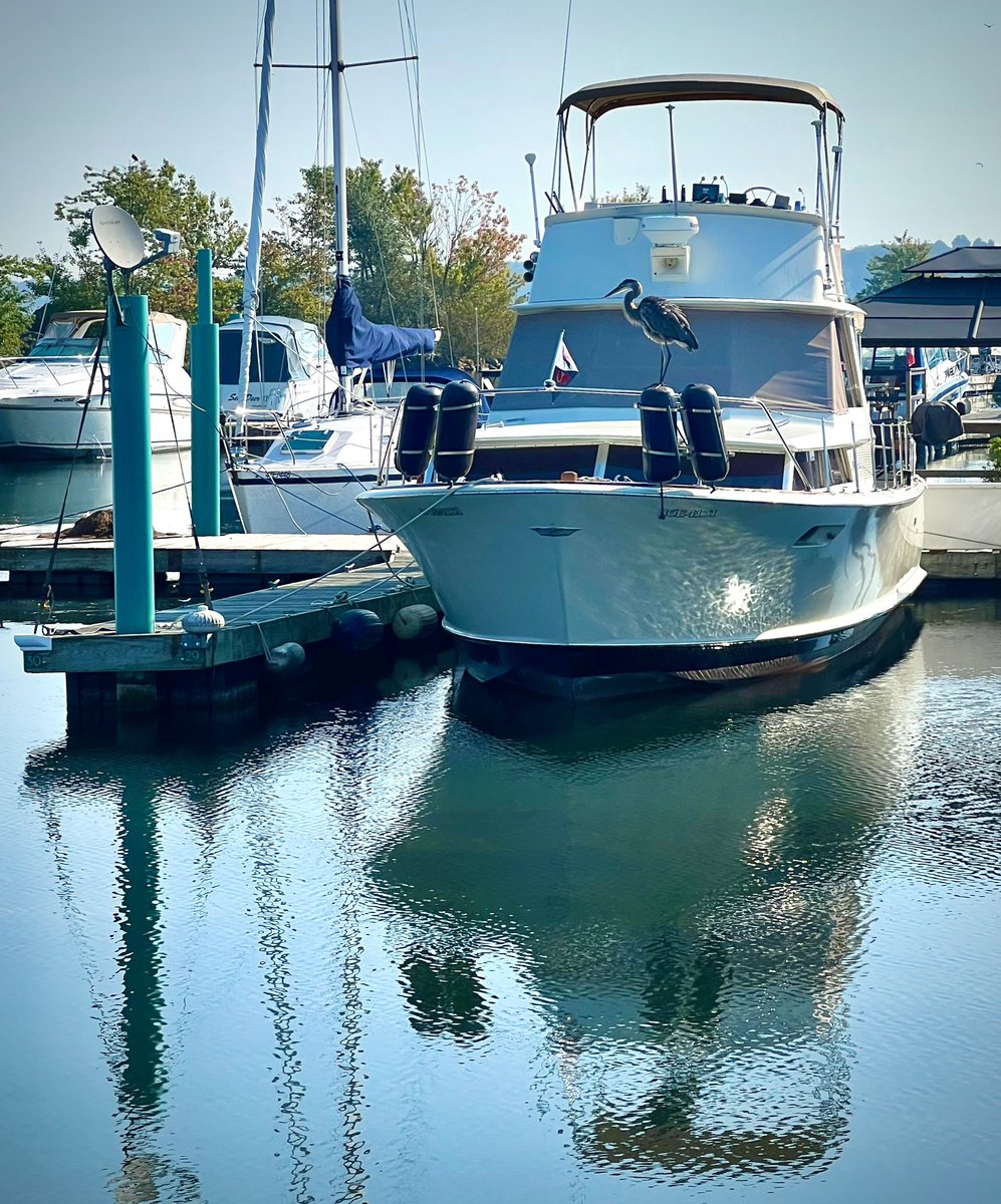 Amazing morning.  #Harbour
