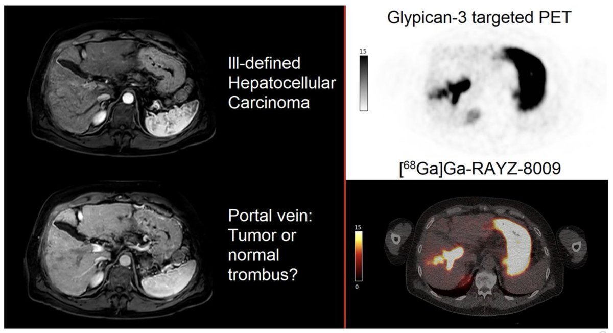 Freddy E Escorcia (@freddyeescorcia elsewhere) tweet media