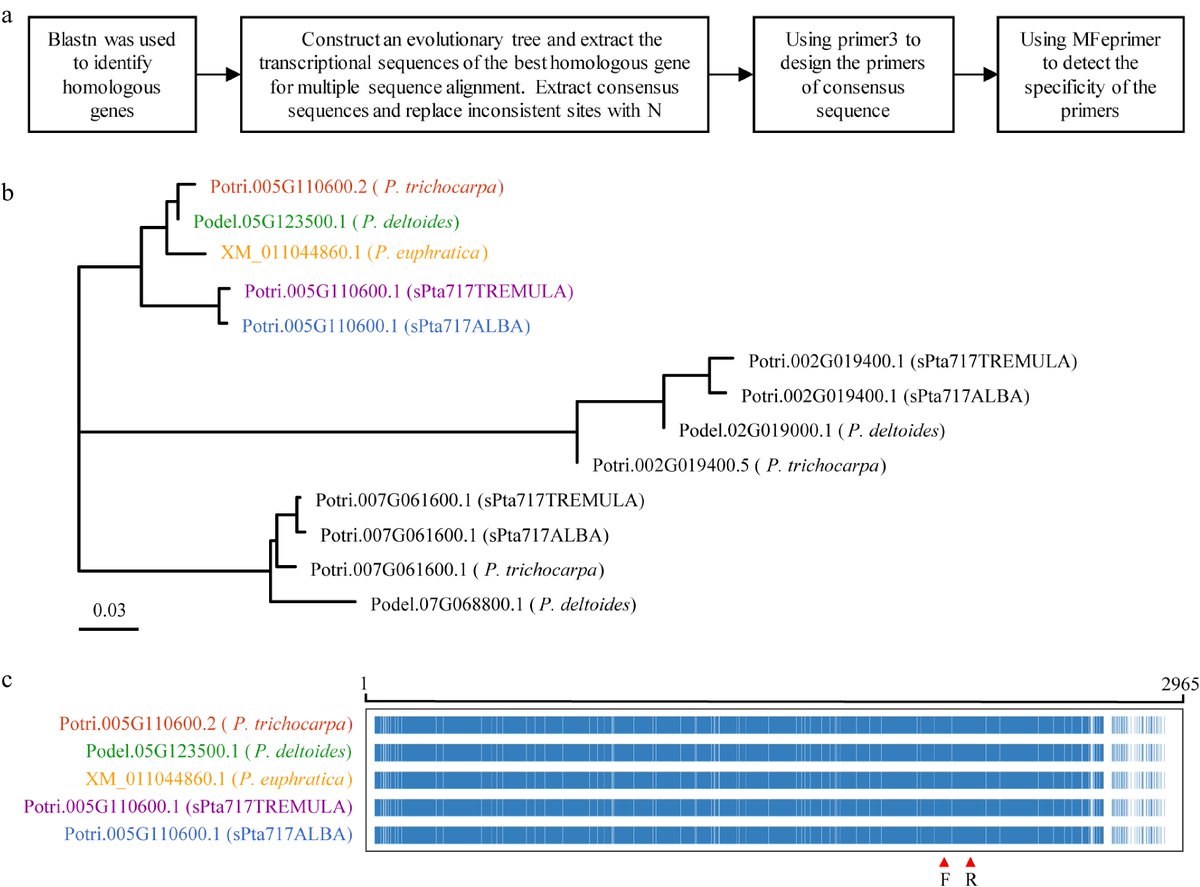 ForestryRes's tweet photo. #ForestryRes #geneexpression #topcandidate #stress
πΏπ§¬ Poplar gene expression study: RT-qPCR, DESeq2, and 541 RGs identified. CNOT2 as top candidate for stem analysis under stress.π±π¬
@MaximumAcademic @AbioticStress
Details: https://t.co/RuvEzBfIab https://t.co/hV0ykfgAHT