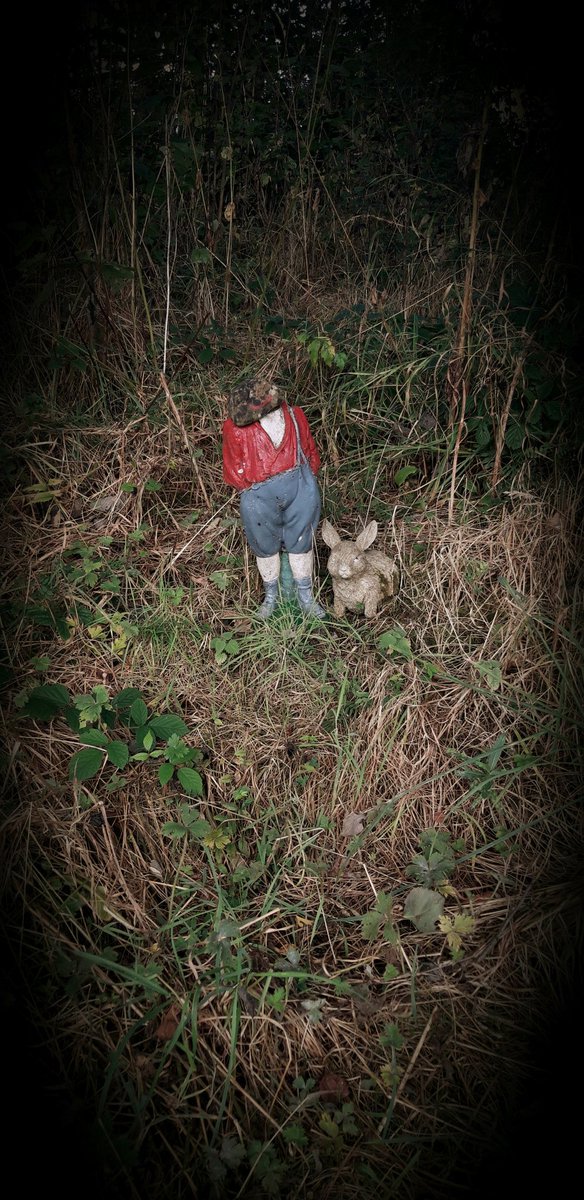 A walk in the Staffordshire countryside brought me back to a place by the old bridge river woods. This strange sight hasn't changed in 20 years except for the sudden appearance of a rabbit.
#hookland <a href="/HooklandGuide/">Hookland</a>