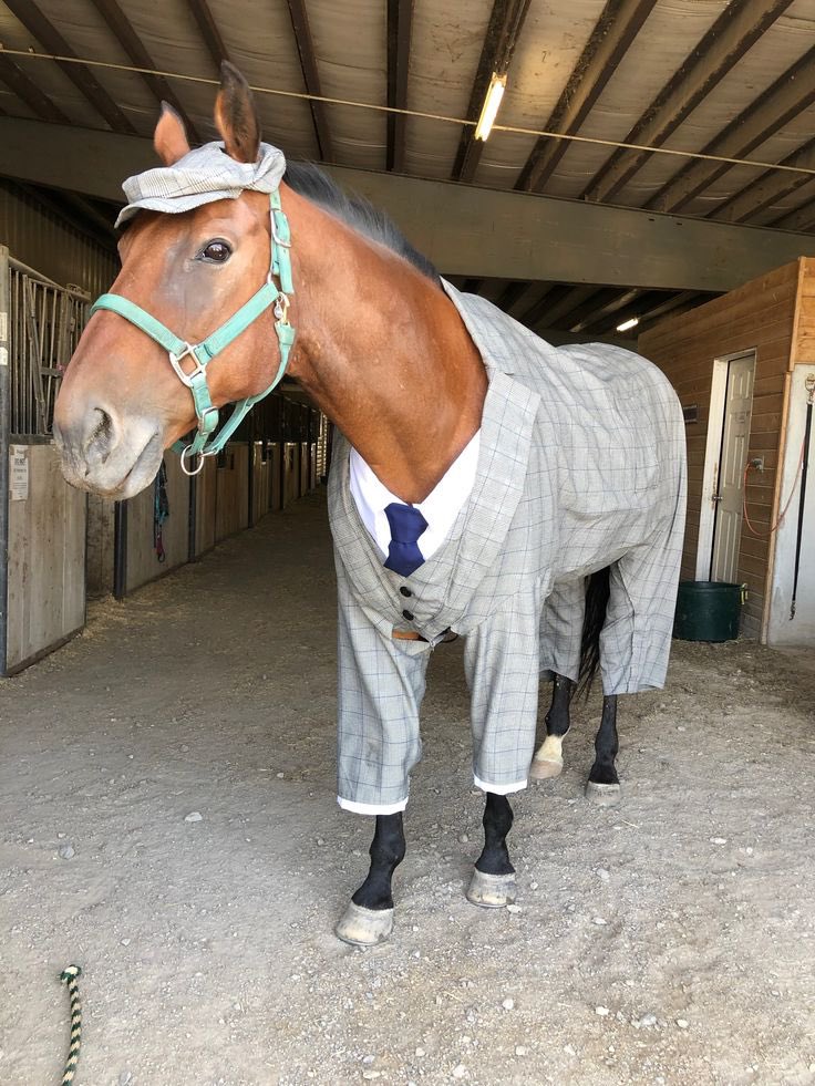 horse wearing a three-piece suit elegant outfit tailored for a classy and distinguished horse
