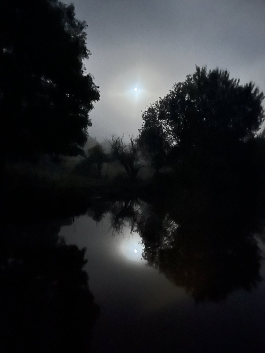Moon on the canal