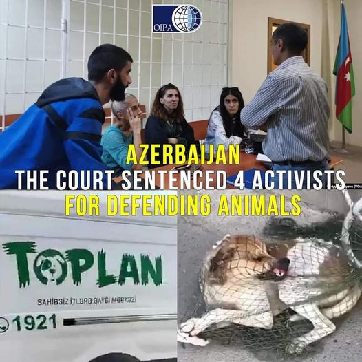 PhaedraXTeddy's tweet photo. #COP29Explained
#COP29AZERBAİJAN
#NoLivesMatter https://t.co/MklOio6dUm