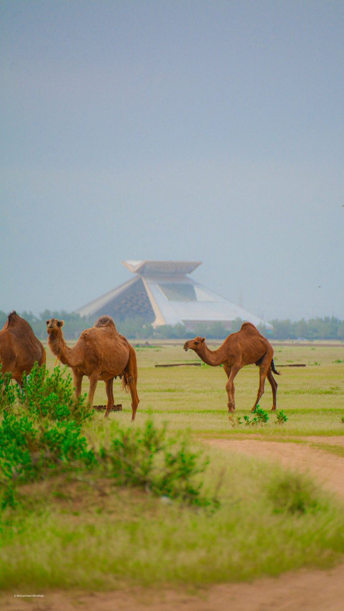 Zeyad_jehani's tweet image. من يعرف هالصورة فين ؟
طبعا التصوير اليوم 🫶🏻