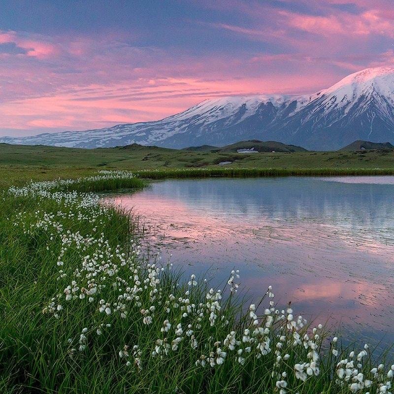 𝑨𝒗𝒊𝒔𝒂 tweet media