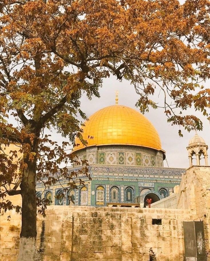 Palestine is free from the sea to the river.