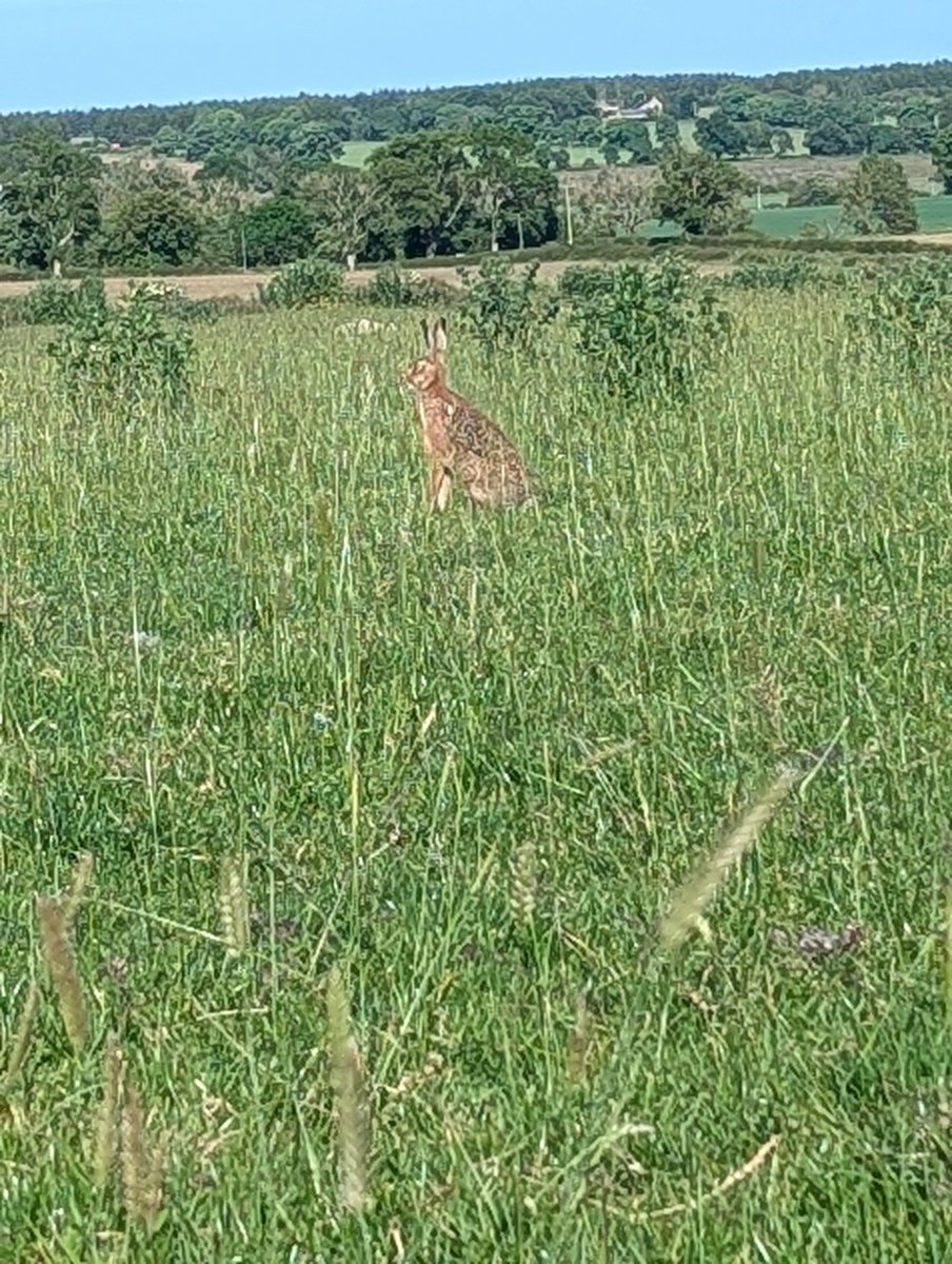 Sally Urwin tweet media