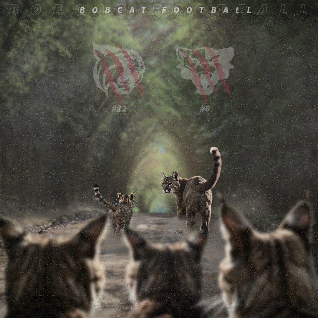 Back to back ranked wins😼

56-10 vs. #22 LCU
33-14 vs. #8 SXU

#STUFootball // #RaiseTheStandard