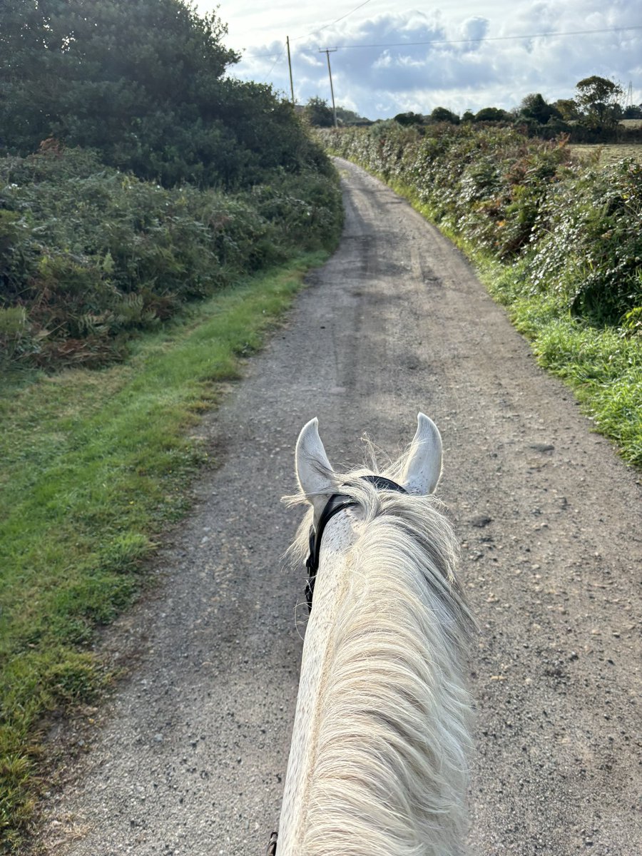 RPH Woody tweet media