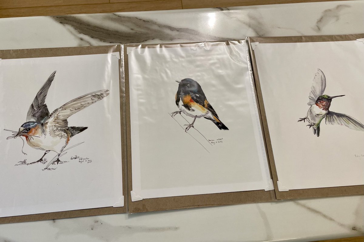 margjohnst's tweet photo. Hey #Ward8Kit! Look at these cuties I purchased from our very own Missus.Blunt our #BirdNerd! Can’t wait to frame them! Happy to connect others with her as well 😃 and happy to uplift other Ward 8 creators! https://t.co/IvEiJi62IQ