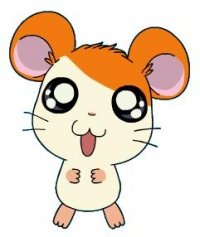 🐭 | felix tweet media