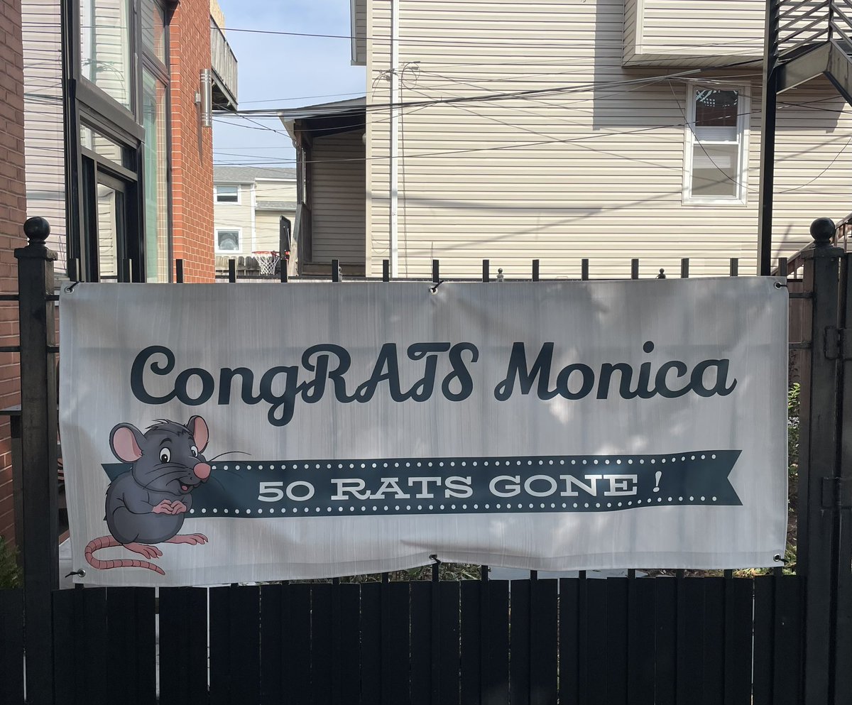 ARatchenski's tweet photo. At first glance I thought this was a bizarre graduation sign, but instead my neighbors put up a banner to congratulate the community cat they host for being a certified killer. 🫡 I love this city. https://t.co/bl0rHC2j8u