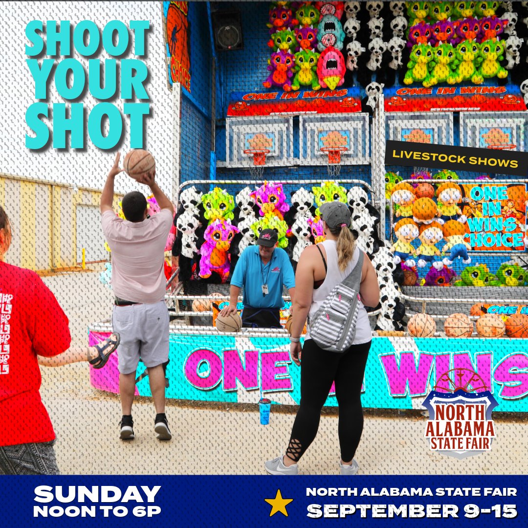 nasfair's tweet photo. Come out to play games, ride rides and have FUN! Today is our last day, we're open Noon to 6p. Senior Citizens get in free and armbands are $25! https://t.co/VUZsArIiqC