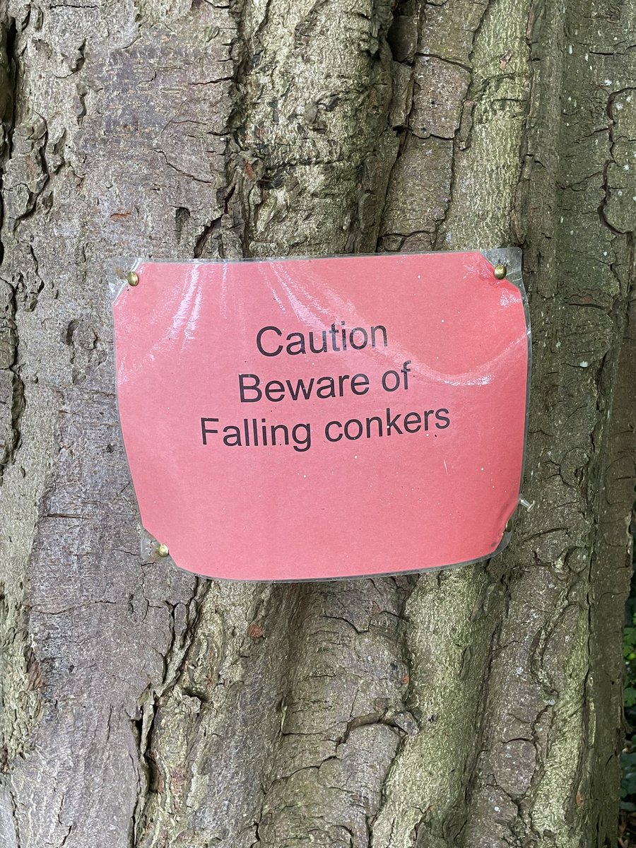 BirderMinor's tweet photo. #NationalTrust #WestburyCourtGardens #sundaysigns
You can never be too careful https://t.co/HrGjuQbL4w