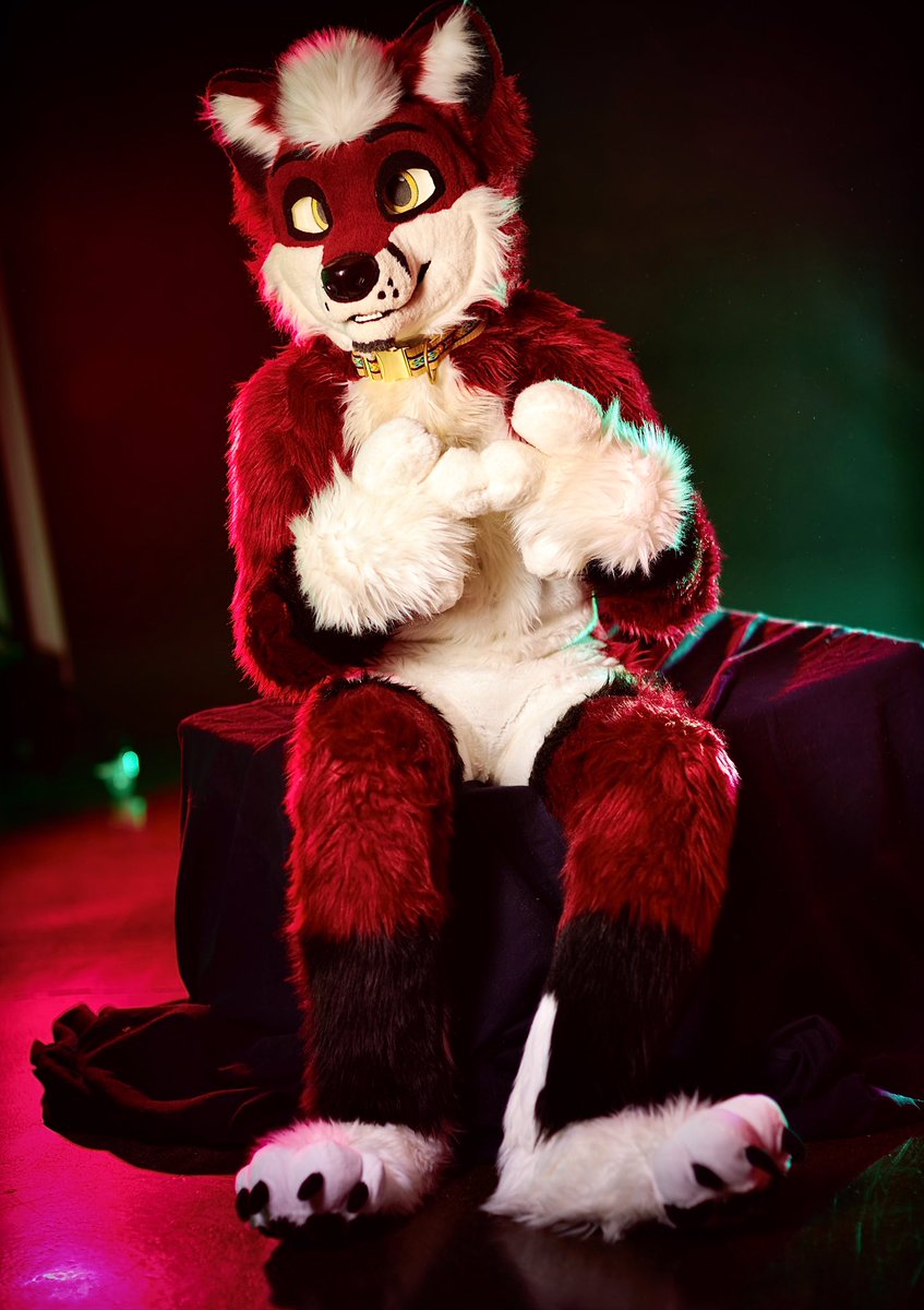 He's so shy, but that's okay =3
🦊@QuimbyFox