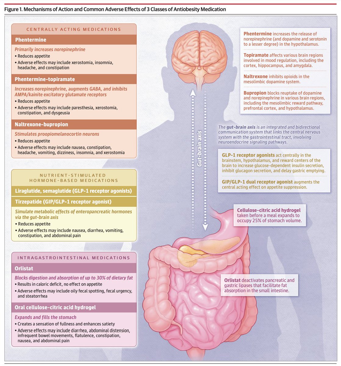 Esta revisión examina la eficacia y la seguridad de la medicación para la obesidad según su mecanismo de acción  ja.ma/3MgehWZ