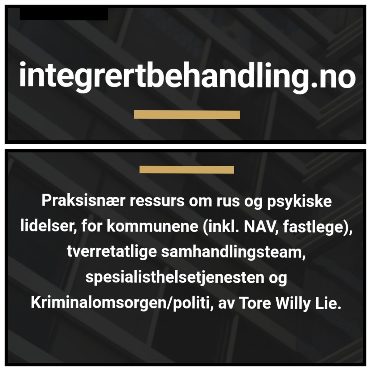Ny, privat nettside om integrert behandling av rus og psykiske lidelser 
integrertbehandling.no