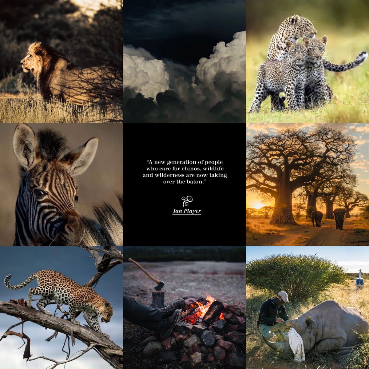 IanCPlayer's tweet image. The World of Ian Player #wild #wilderness #wildlife #player #ianplayer #water #forrest #climate #conservation #environment #lion #rhino #zebra #zebra #fire #leopard