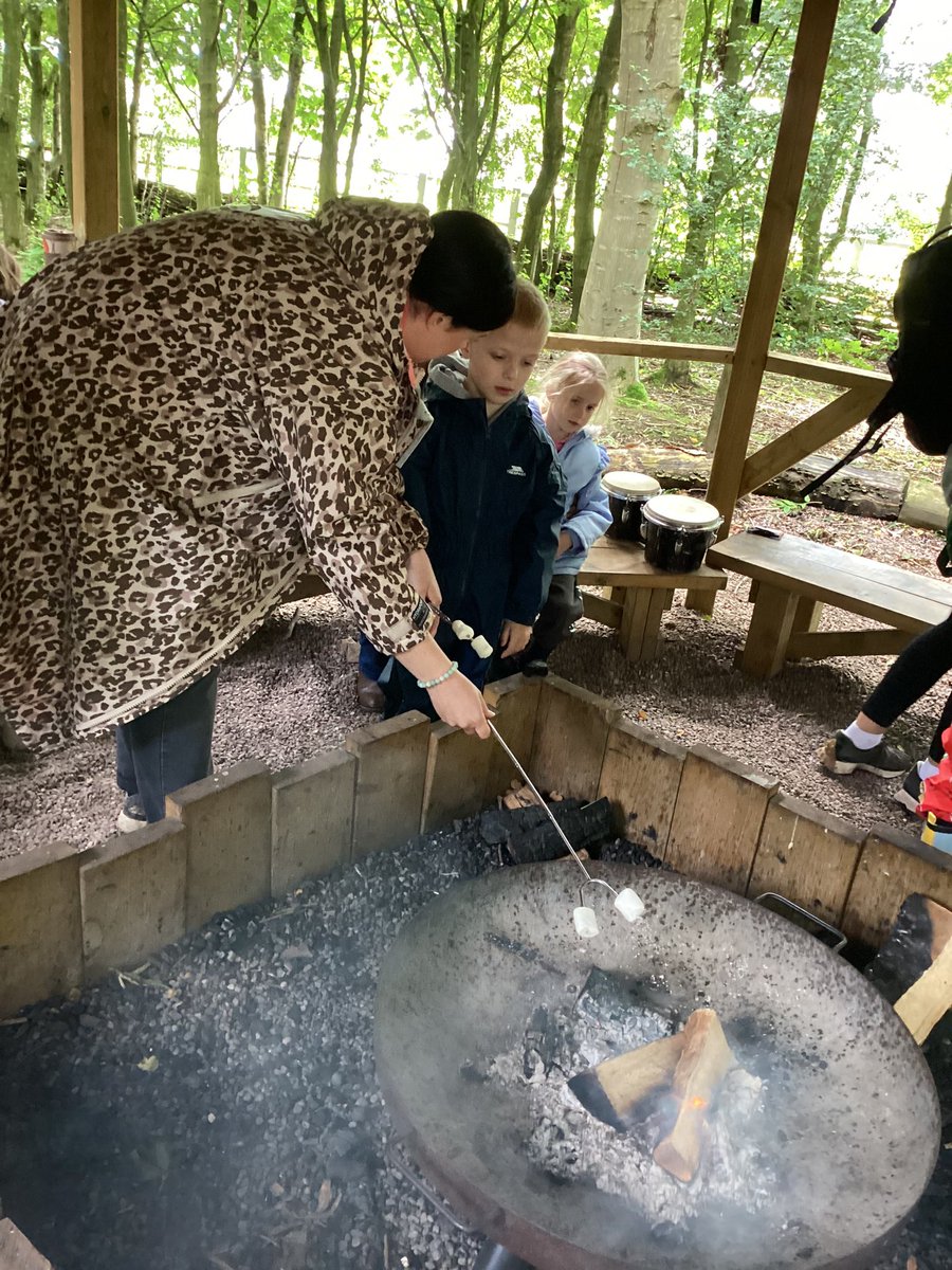 DeePointPine tweet media