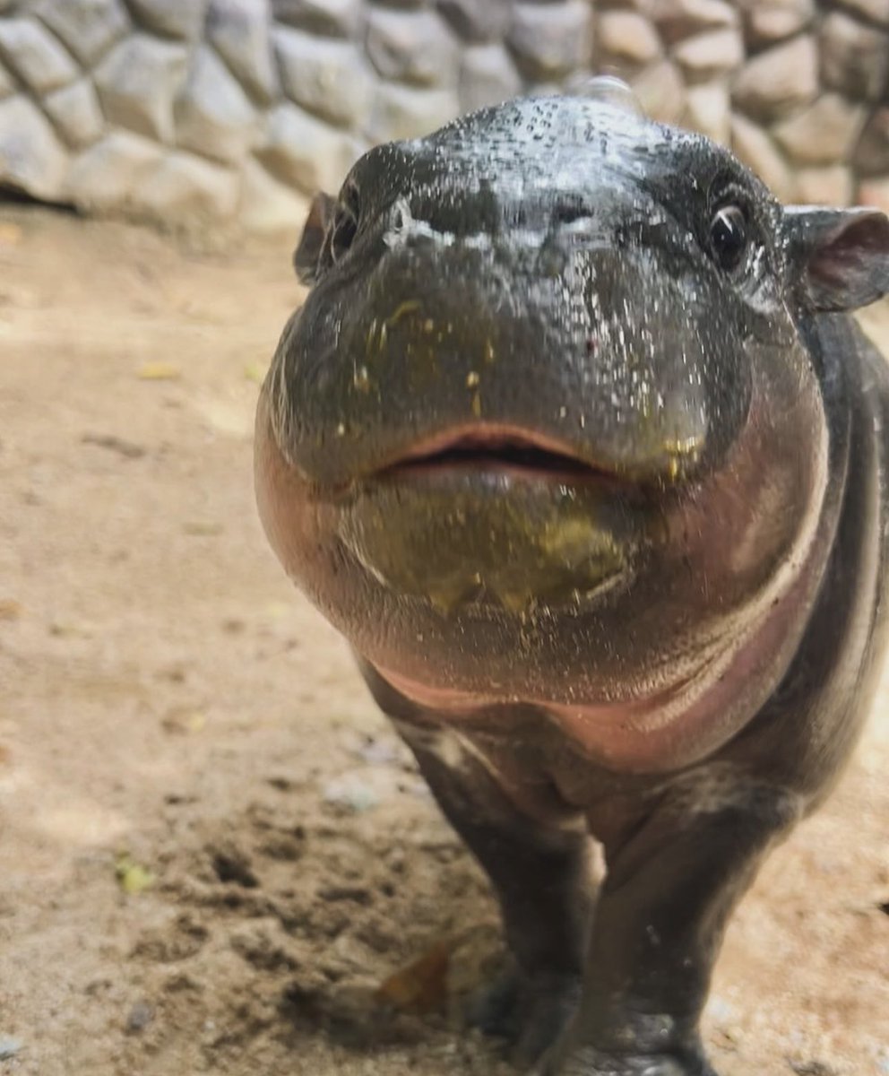 mom      i      frew  up