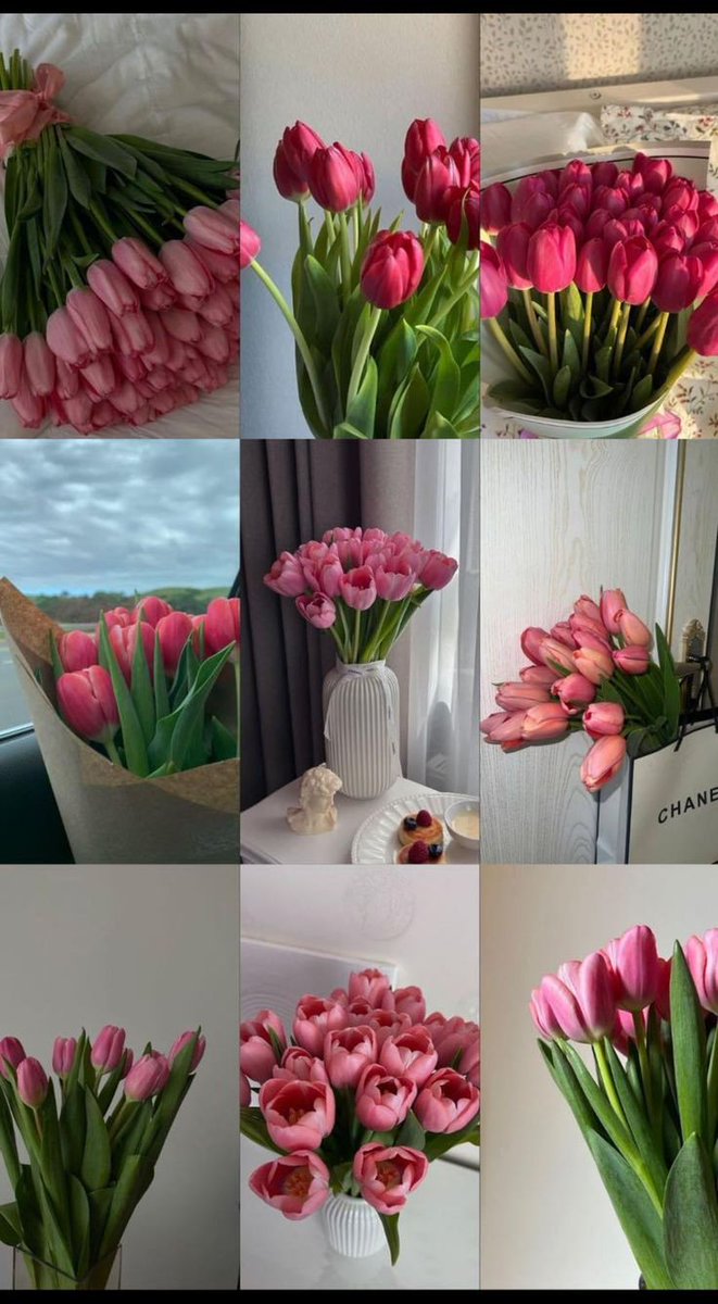 Pink tulips