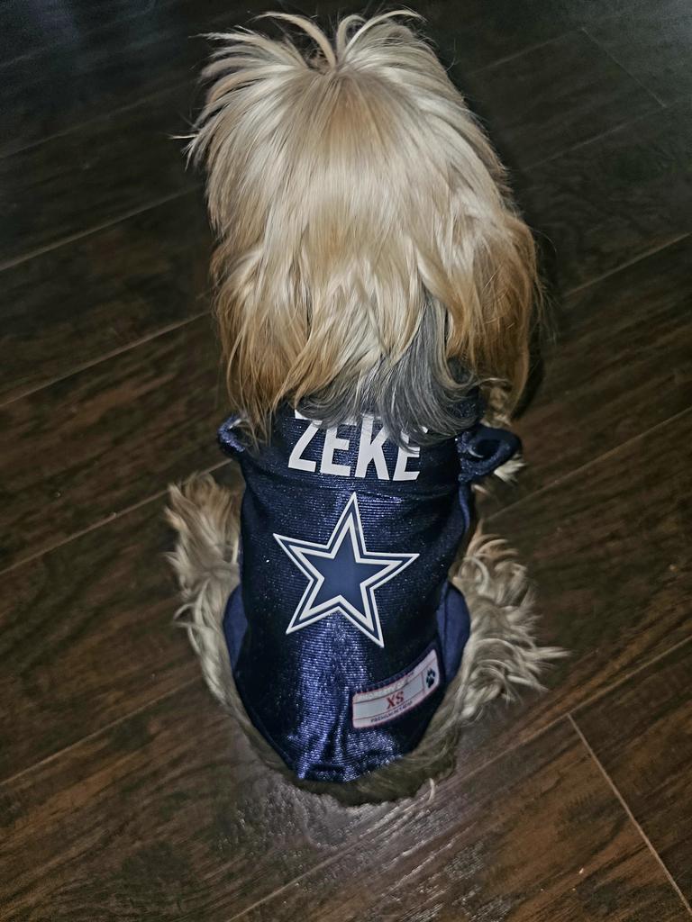 tattoomom's tweet photo. Zeke(Ezekiel) game time https://t.co/DsOil1S8QG