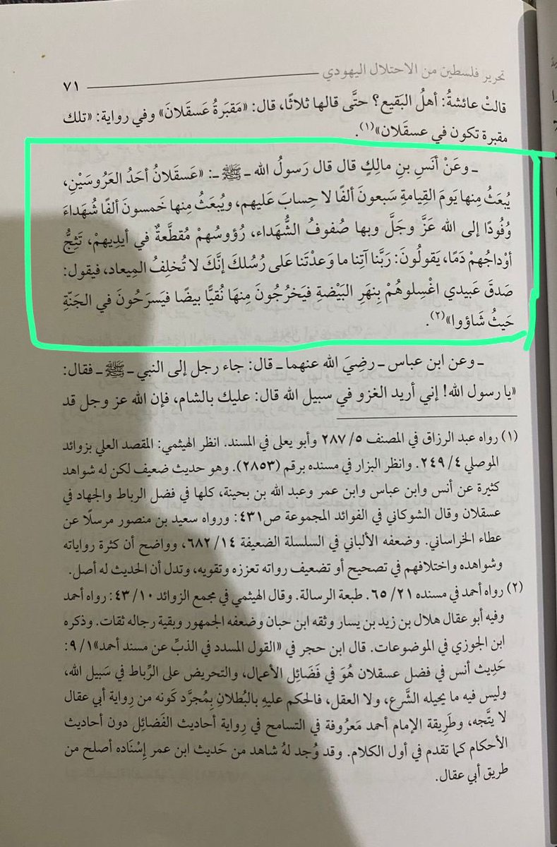 <a href="/HamzaAbuToha/">حمزة مصطفى أبو توهة</a>