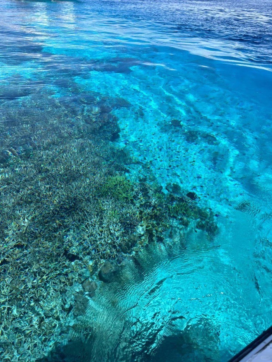 Deep sea adventure.  😍 The infinite charm of the underwater world. 🥰❤️
