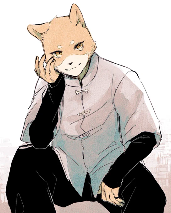 #和音シバ 