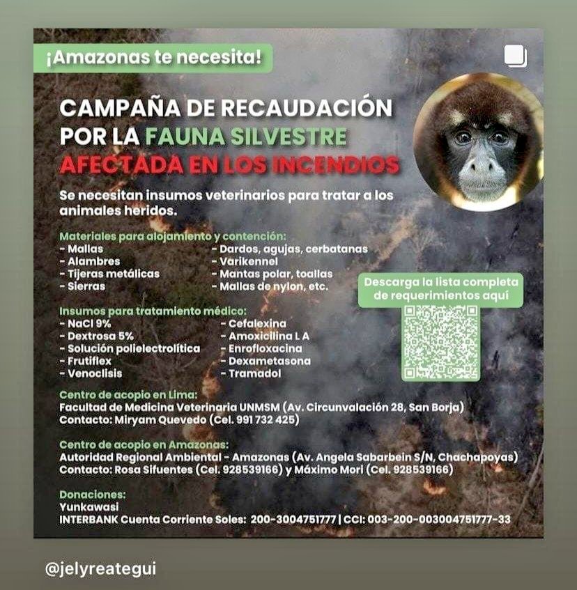 #CampañaDeRecaudacion #FaunaSilvestre #IncendiosForestales 

Aquí una opción de ayuda que tiene un Centro de Acopio en Lima: Facultad de Medicina Veterinaria de la UNMSM y una cuenta para donaciones: Interbank Soles 2003004751777 / CCI 00320000300475177733 a nombre de YUNKAWASI