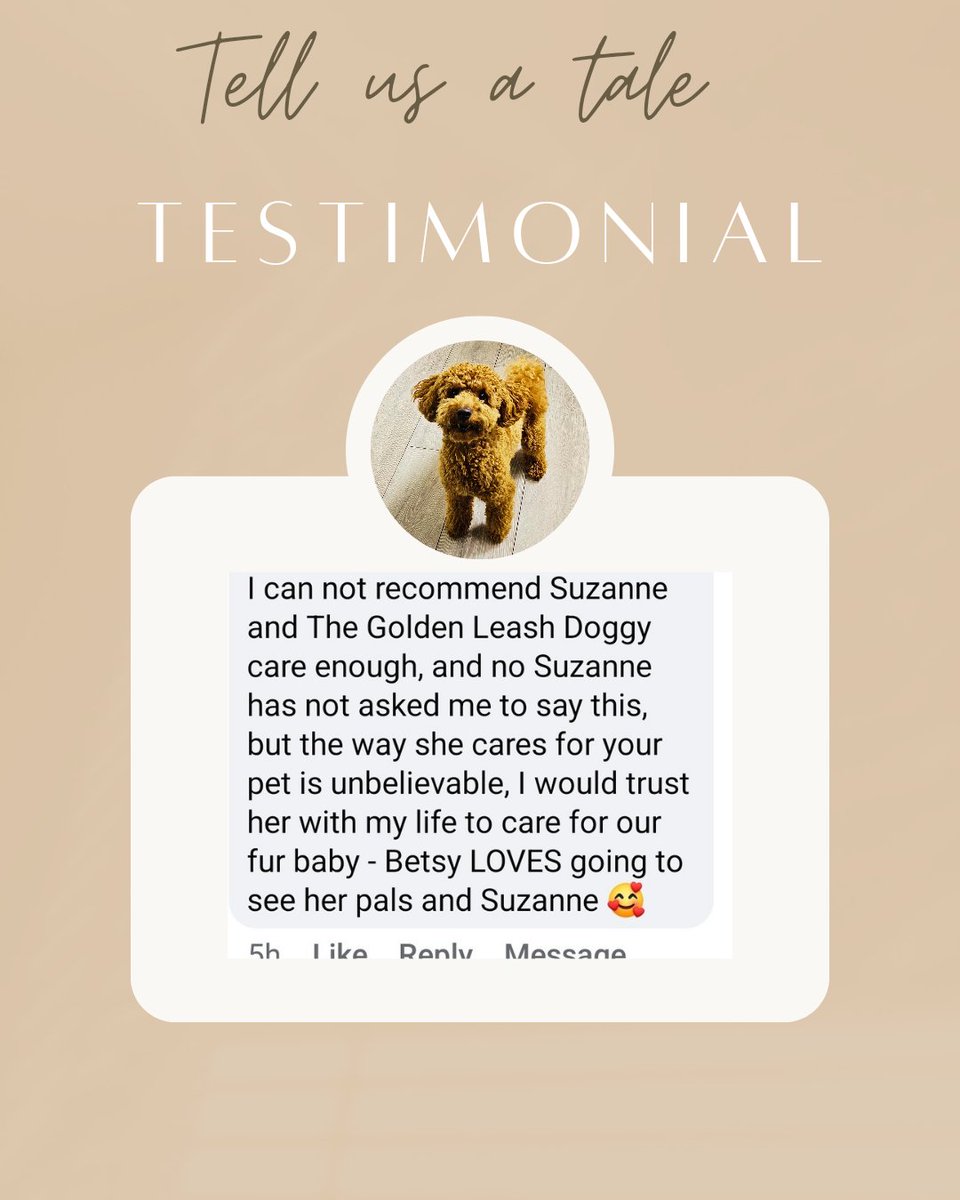 The Golden Leash Wigan Doggy Day Care tweet media