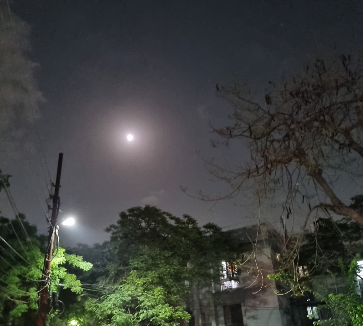 bronz_O_Genius's tweet image. #Moon 🌙 
#mobilepic 🤳 

Moon dekhkar yahi gaana dimag mein ghoom raha...

Koi itna khoobsurat
Kaise ho sakta hai
Koi itna khoobsurat

Koi itna khoobsurat
Kaise ho sakta hai... 💞🥰
#bollywoodsongs