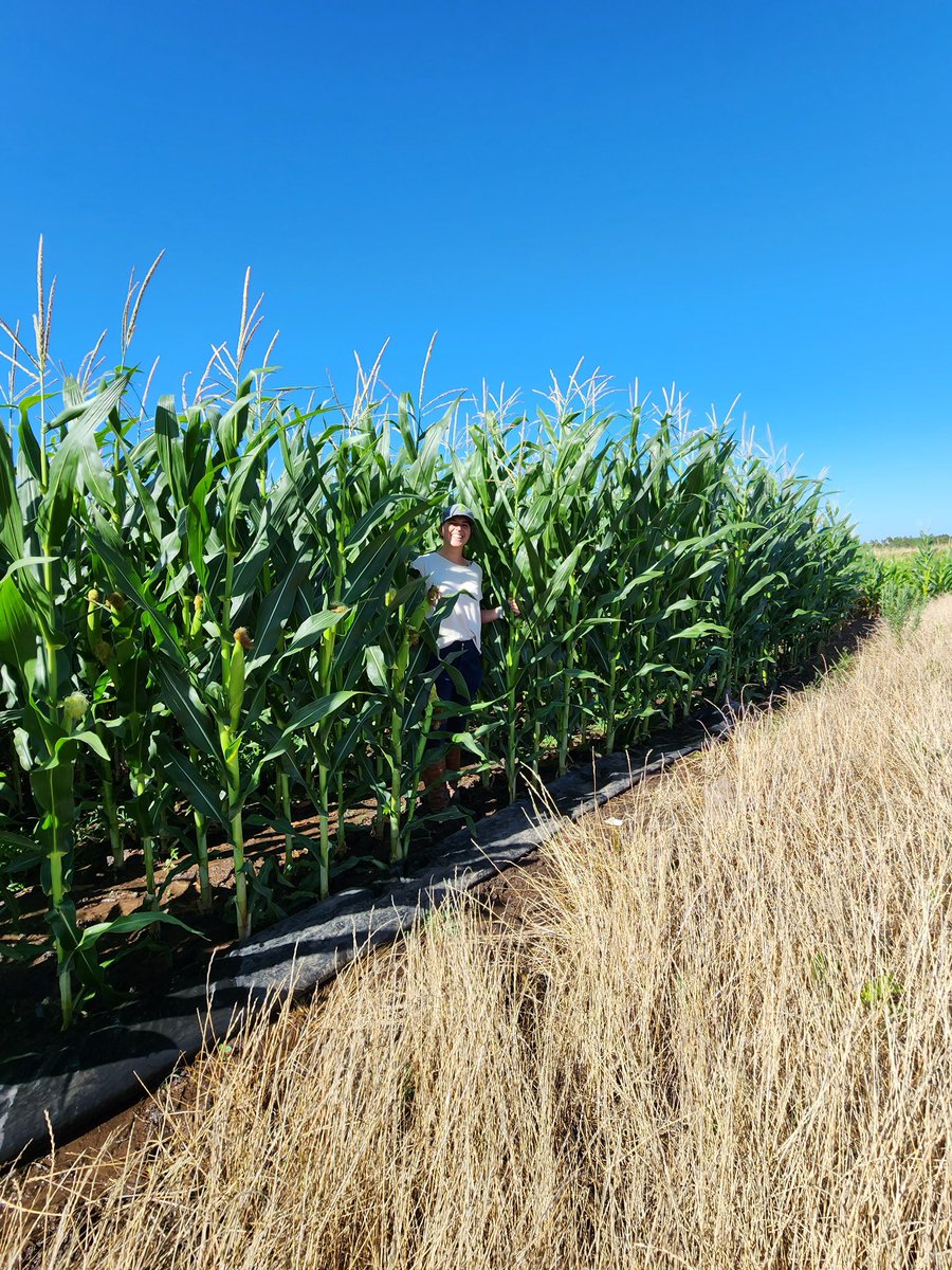 Federica Ramos🇺🇾 tweet media