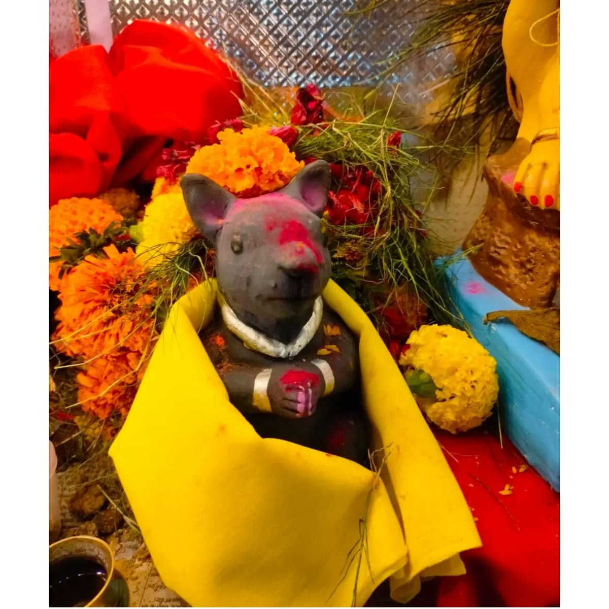 Pyaricetamol5's tweet image. वक्रतुण्ड महाकाय सुर्यकोटि समप्रभ,
निर्विघ्नं कुरु मे देव सर्वकार्येषु सर्वदा।🌺🙏 
#GanpatiBappaMorya 
#GanpatiVisarjan