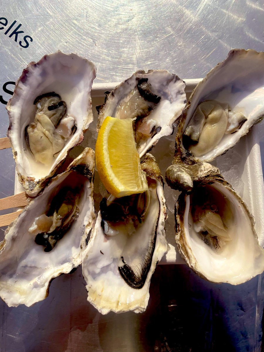mayu3da4's tweet photo. 生牡蠣が好きすぎる息子にOyster festivalに連れて行く。日本の角上魚類が恋しくなるほど小ぶりだけど、美味しい…🥹
4つ食べた息子は全然物足りないとのことだった。笑
天気が良くて何より
#whistable https://t.co/QKecIWIeBR