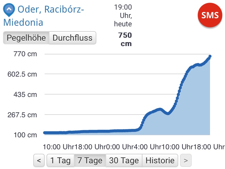 der_wolf_aus_dd's tweet image. Teilweise sehr hohe Pegelstände am Oberlauf der #Oder.
In #Racibórz in der Nähe von #Opole (Oppeln) steht der Fluss bei 7,5 m.
#Hochwasser