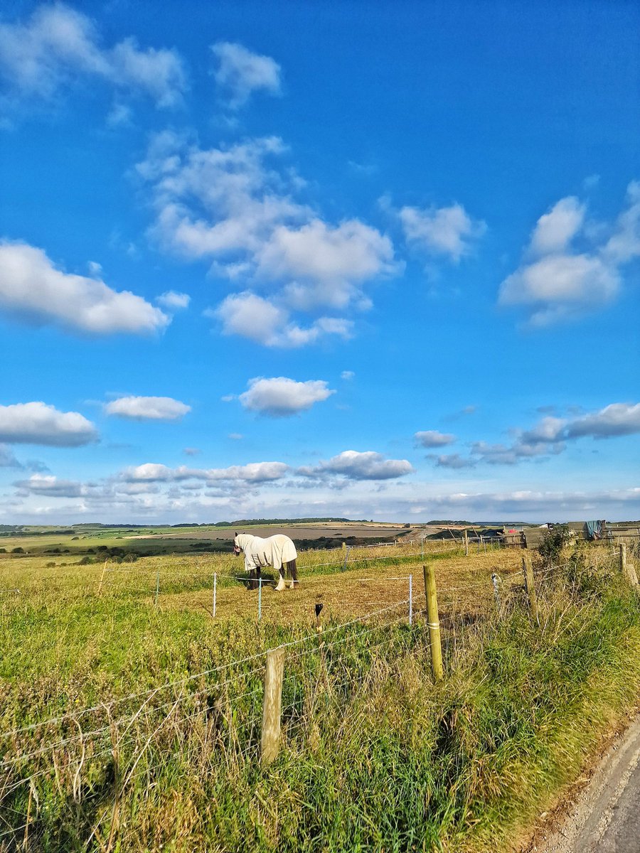 He's definitely plotting something... The morning bike ride had lots of sightseeing today. 🚴‍♀️