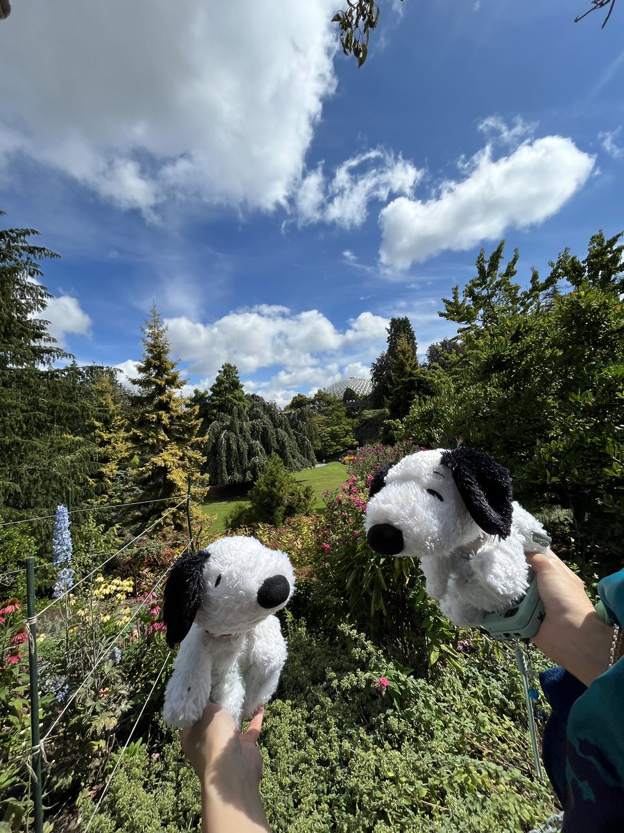 snooopyiscool's tweet photo. i dont care if taking pictures of my snoopies is embarrassing! https://t.co/rhi47fzJLS