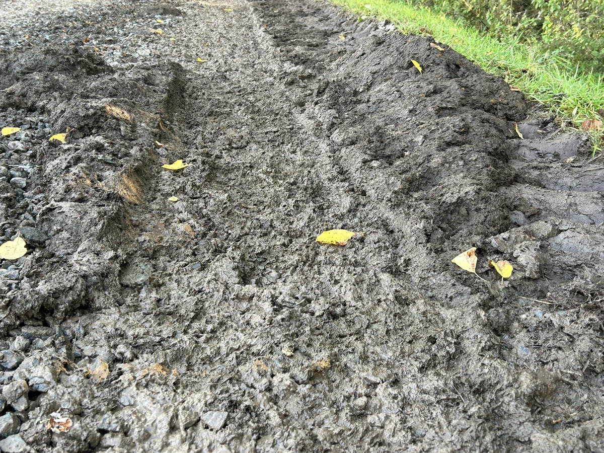 Nicky Naylor tweet media