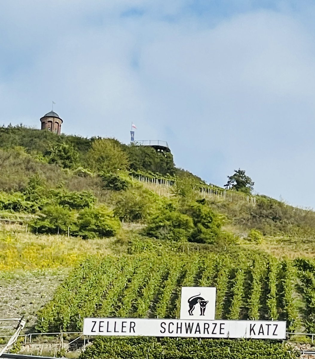 joadoit's tweet image. Es war mal wieder richtig schön in meiner Heimat in Zell