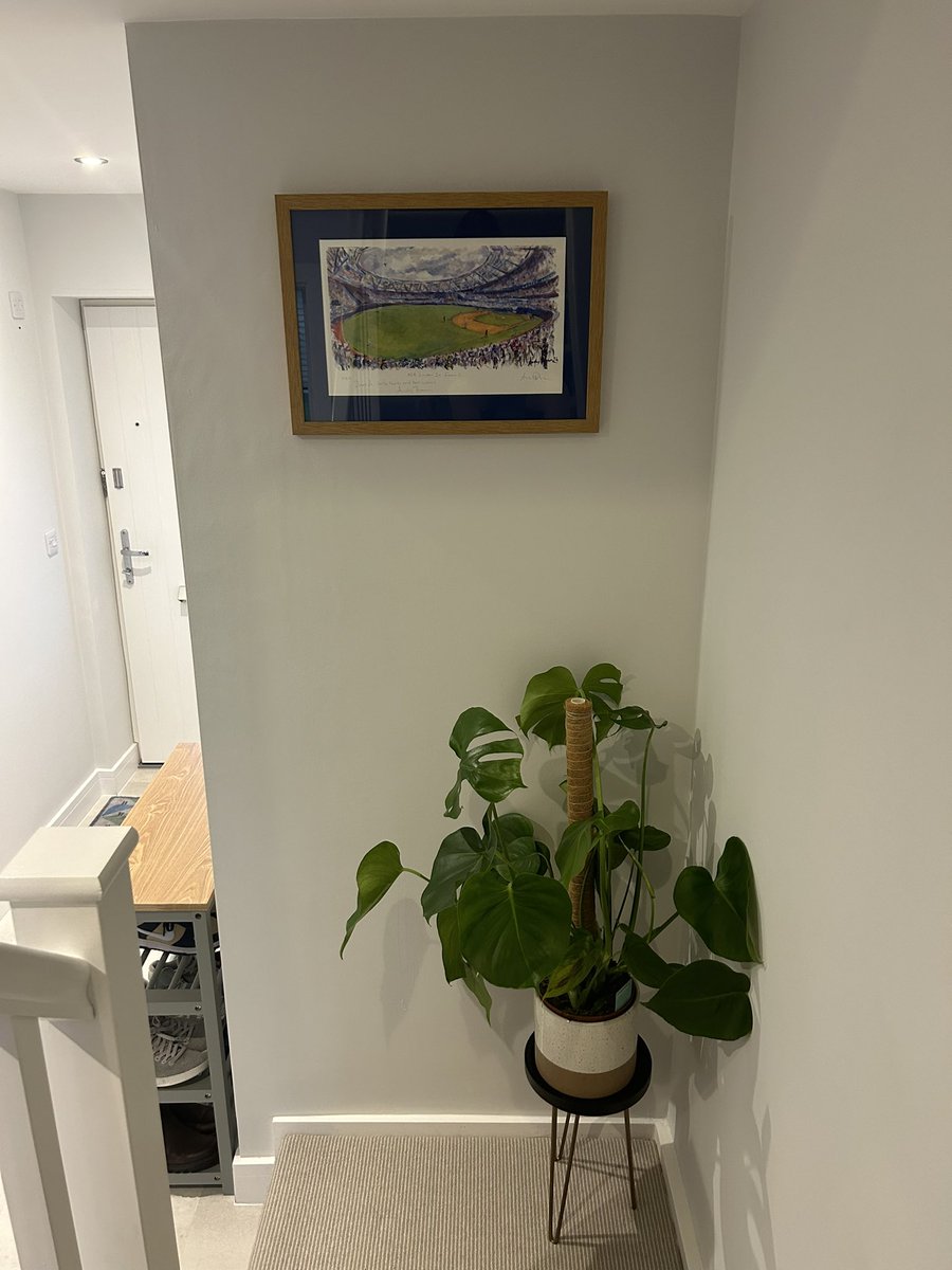 Jo Lenton tweet media