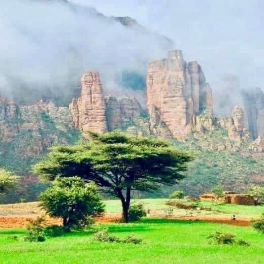 ዓቕሊ፣ ህድኣት፣ ምክብባር፣ ምድምማፅ ምስትውዓል ... ንቡር ፀጋታት ወለድና ጥራሕ እንተይኮኑስ፤ መሰረት ዲሞክራሲያዊ ከይዲ ስርዓት ቀንጪ እውን እዮም:: ወለድና ኣብ ባይቶ፣ ዋዕላታት፣ ሽምግልናን ኣብ ኩሎም ርክባቶም ዝሃነፁወን፤ ክብርን ፀጋታትን