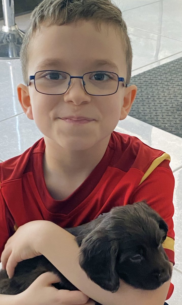 Ysgol Bro Edern tweet media