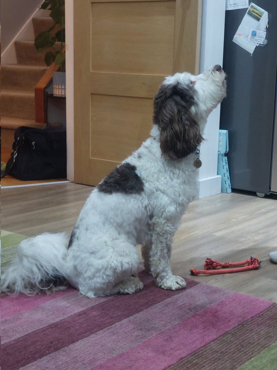 When it was dinner time one entire minute ago and *no-one* is doing anything about it...