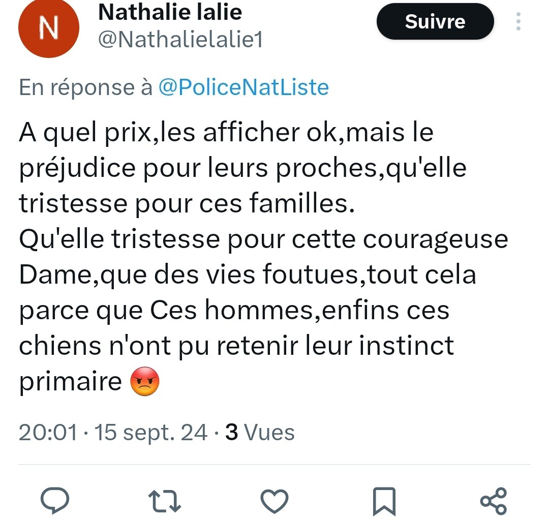 Police Nationale Listenbourg tweet media