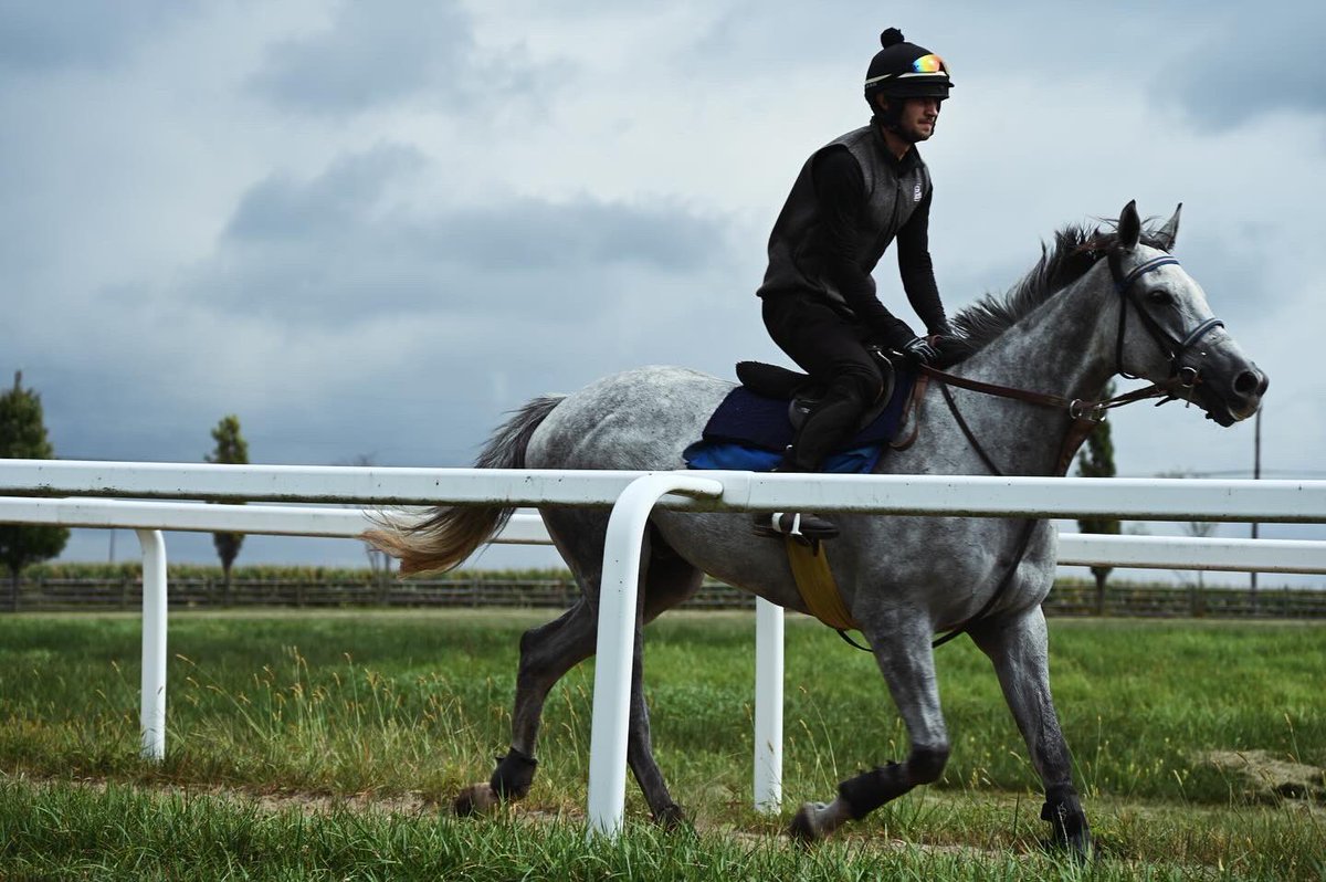 Ashwell Stable, LLC tweet media